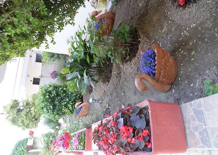 Dioni