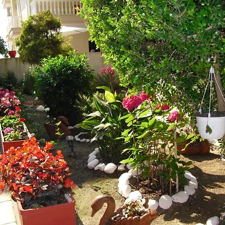 Dioni Paralia Katerinis