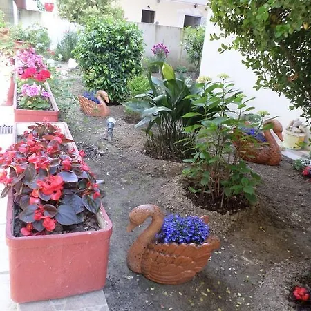 Aparthotel Dioni Paralia Katerinis