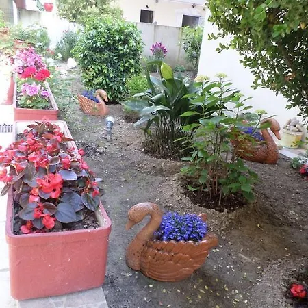 Aparthotel Dioni Paralia Katerinis