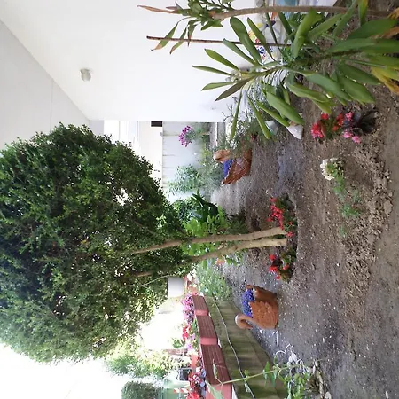 Dioni Aparthotel Paralia Katerinis